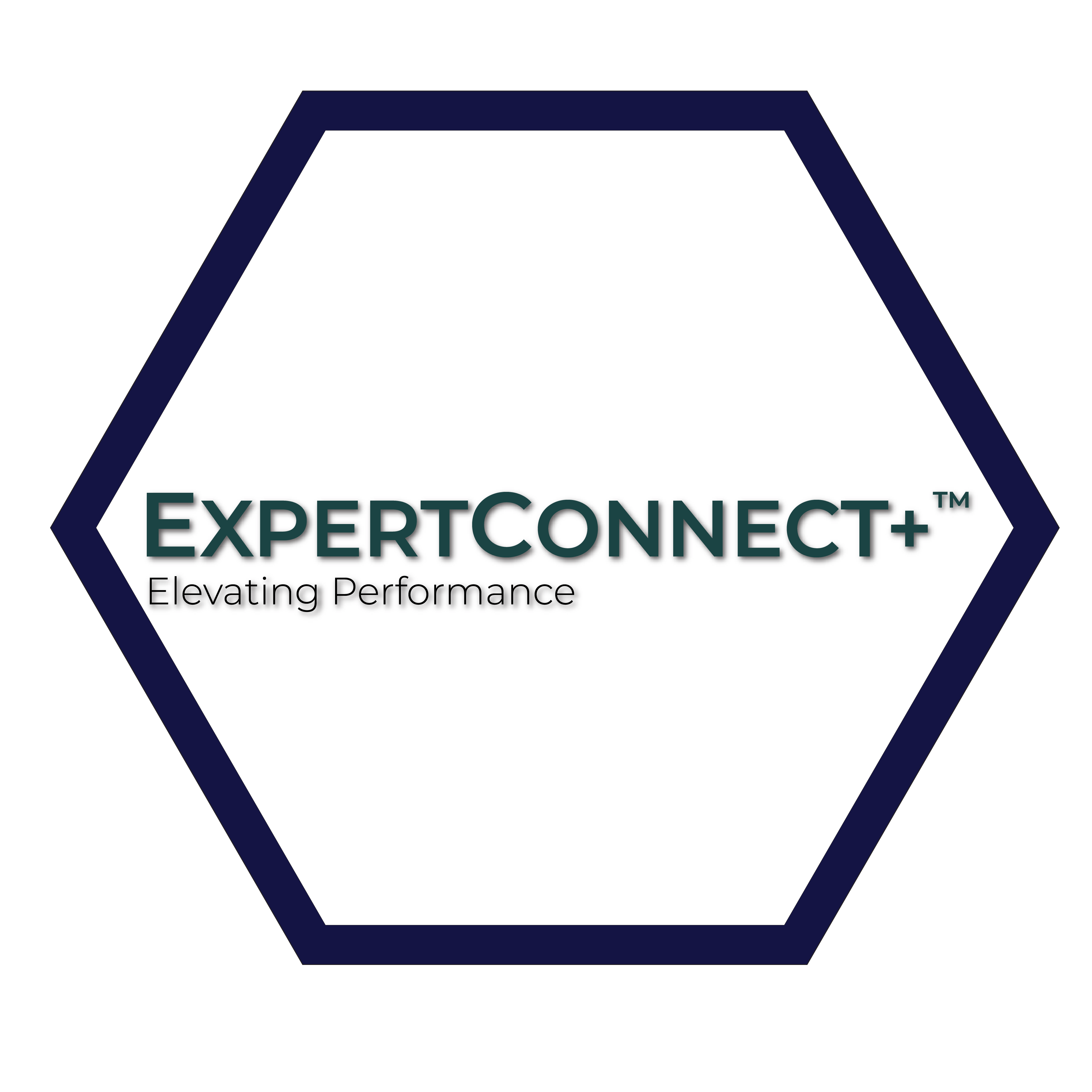 ExpertConnect2