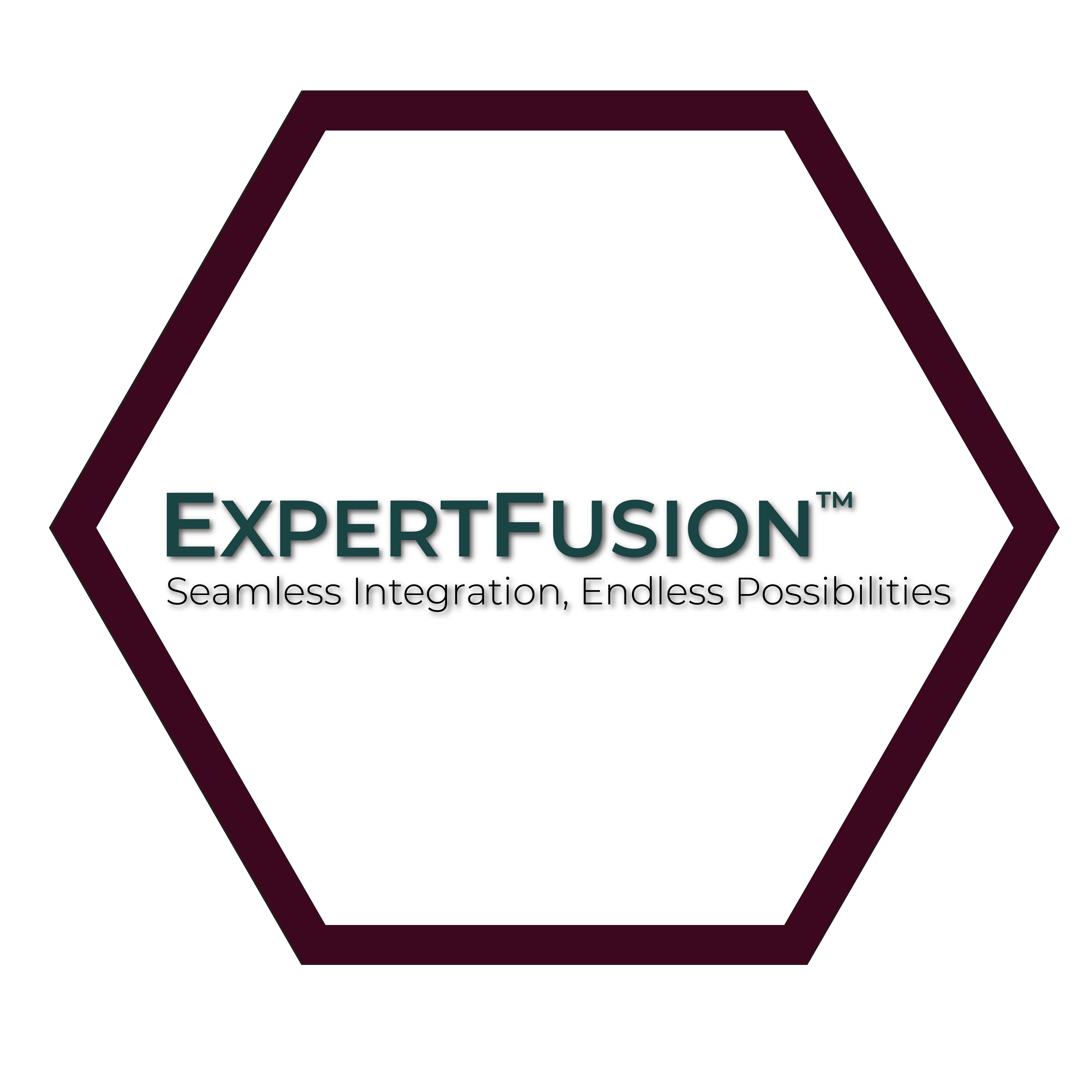 ExpertFusion2