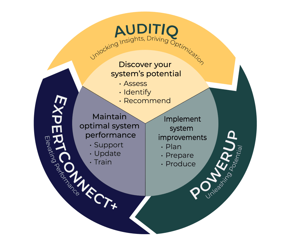 auditIQwebinfographic2